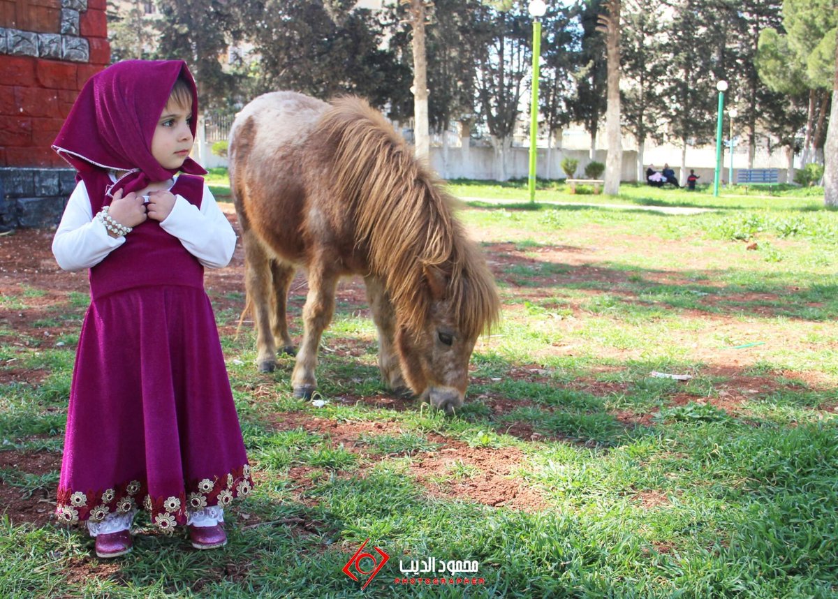 طفلة سورية من #إدلب تتقمص شخصية "#ماشا" الكرتونية الشهيرة.
تصوير: محمود الديب 

"ماشا والدب النسخة الأدلبية ❤️"