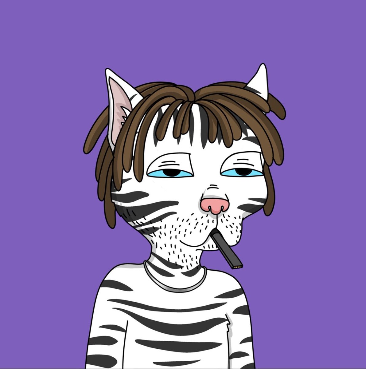 GawaNinja tweet media