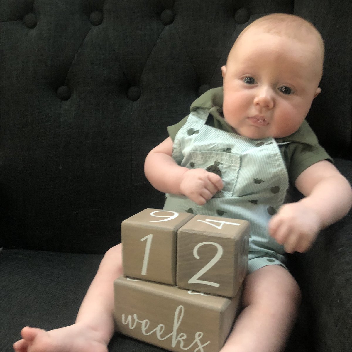 DTESBaird tweet media