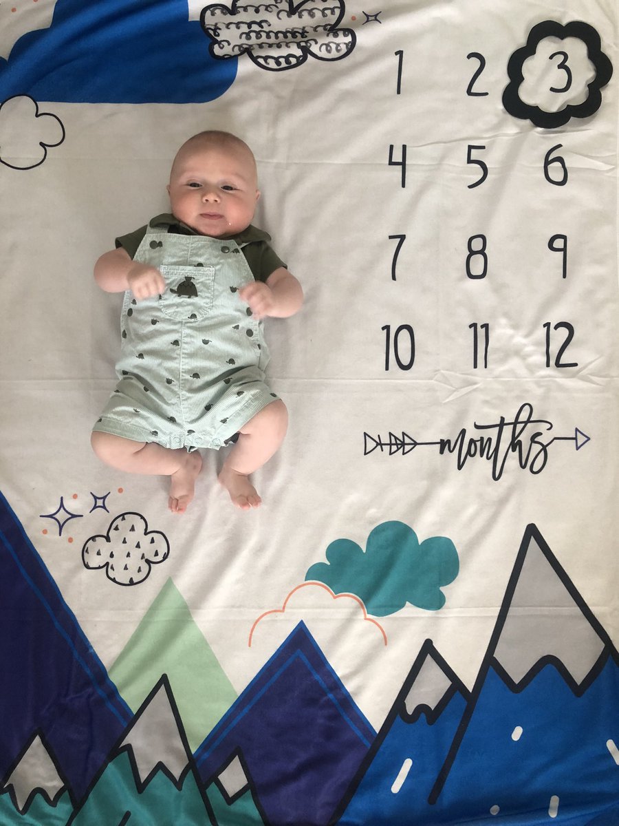 DTESBaird tweet media