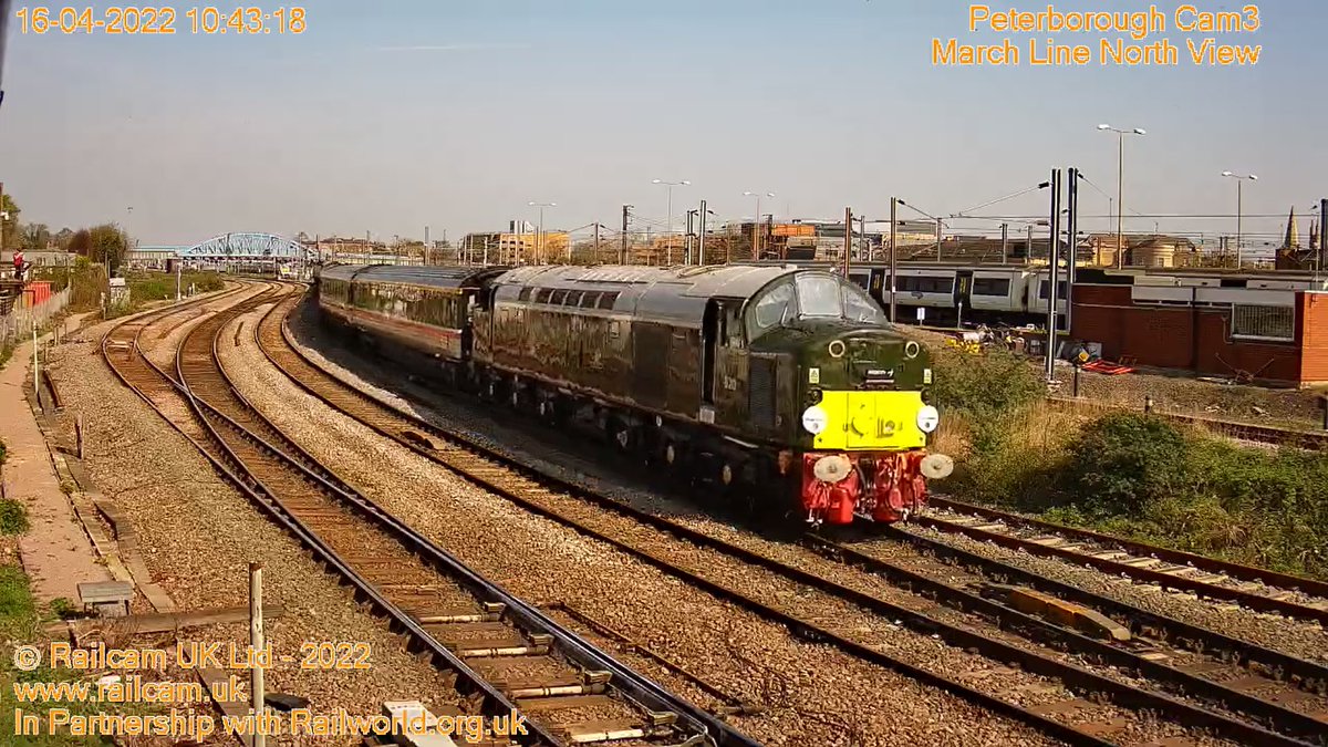 Wayne Potter tweet media