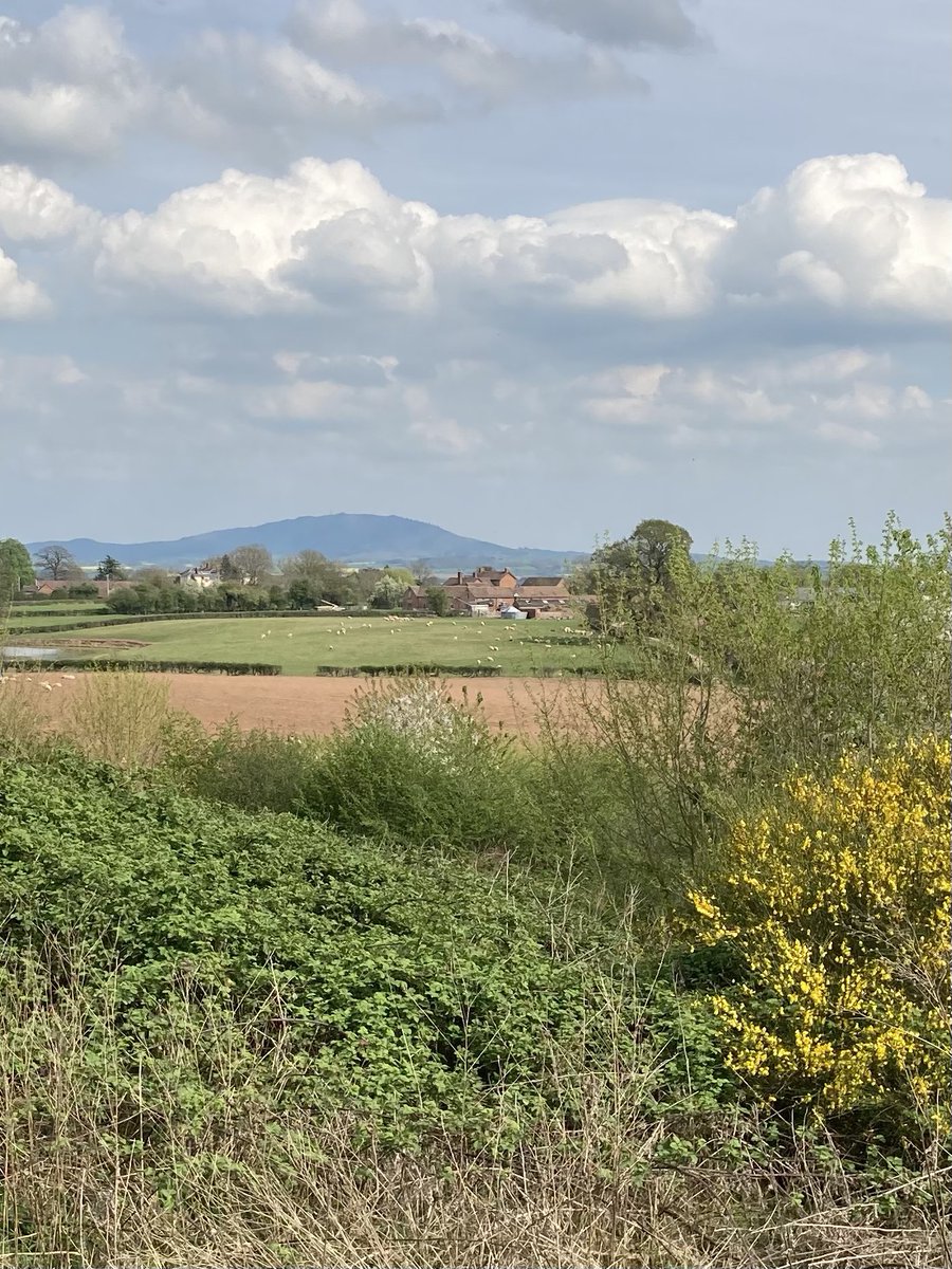 Wendy kathryn Owen Author tweet media