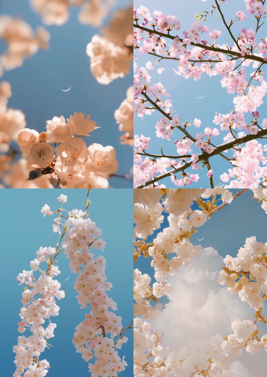 Always looking for the light. ✨