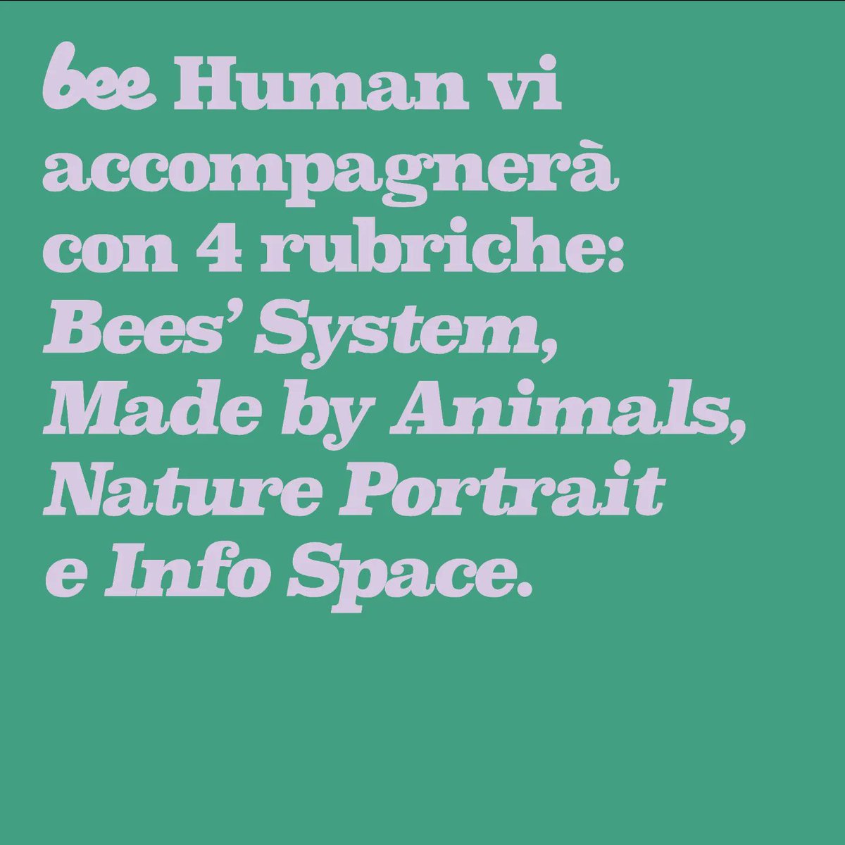 Bee Human 🐝 tweet media