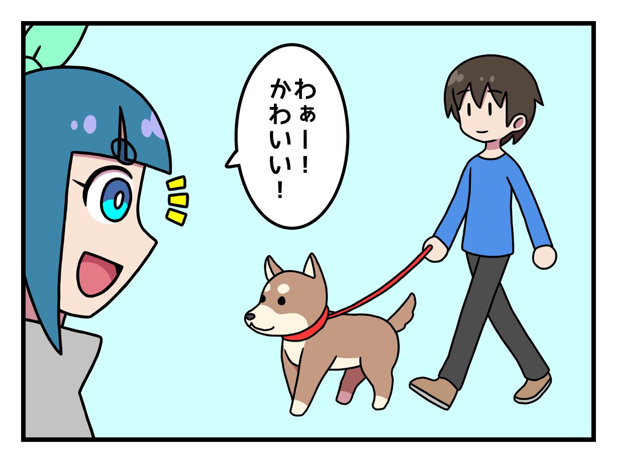 犬好き 