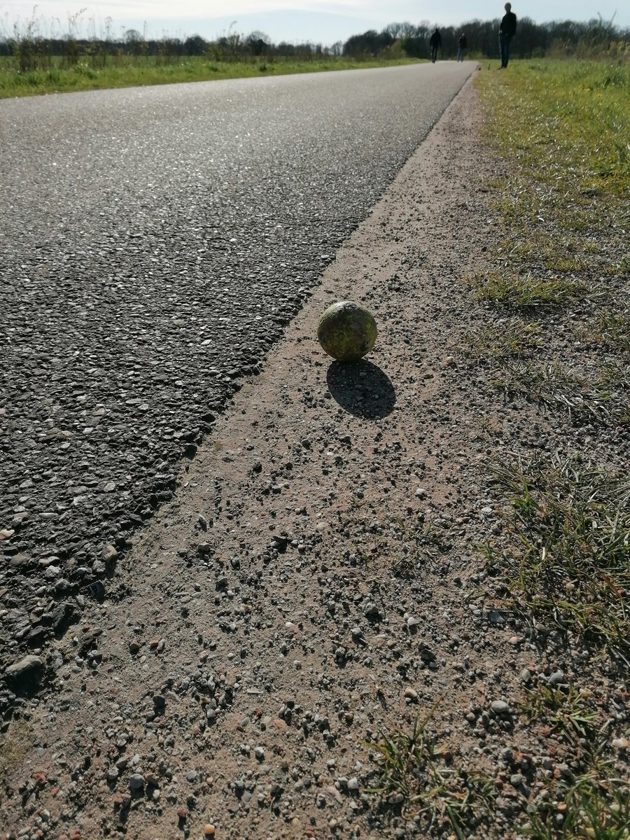 Hugo van Iersel tweet media