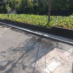 Photo by Vecinos Lomas de chapultepec (@vecilom)