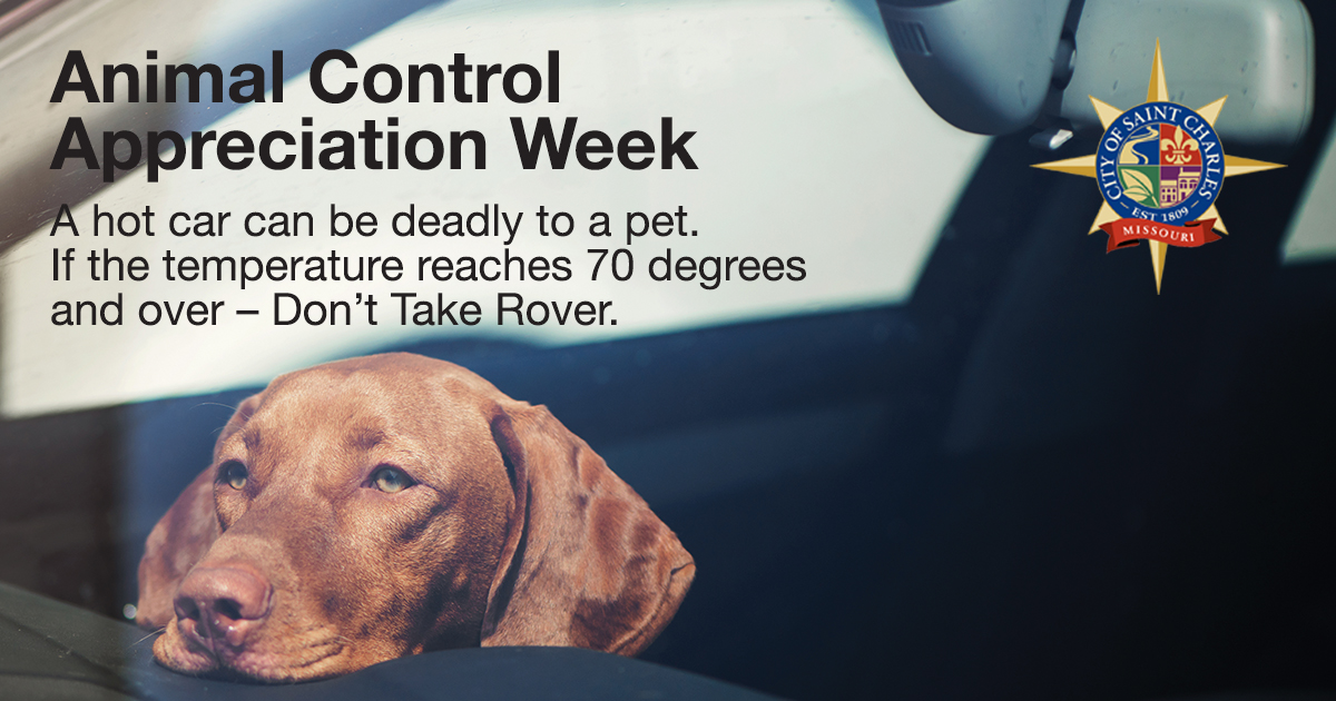 SaintCharlesMo's tweet photo. This week is #AnimalControlAppreciationWeek! 

TIP FROM ANIMAL CONTROL:
• a hot car can be deadly to a pet. In just ten minutes, a car can rise from 70 degrees to 102. At 110, your pet could have minutes to live! If the temperature reaches 70 degrees &amp; over – Don't Take Rover! https://t.co/cBY95zjX1P