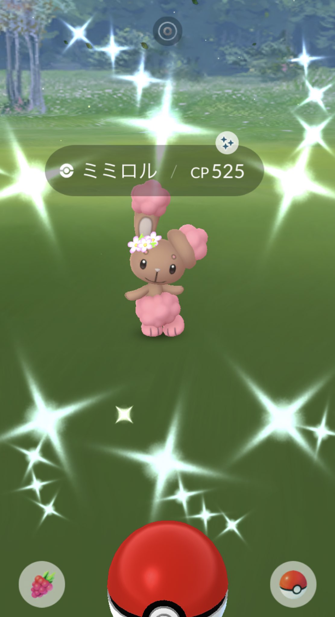 花飾りミミロル Twitter Search Twitter