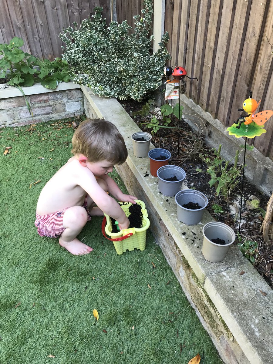 Webster6A's tweet photo. George has planted his sunflower seeds today 🌻 ⁦@GreenTheGrid⁩ https://t.co/c0H02fa9rp