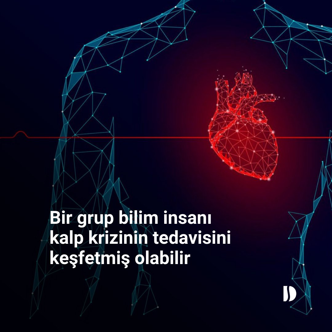 Bir grup bilim insanı kalp krizinin tedavisini keşfetmiş olabilir
#Bilim #Sağlık #KalpKrizi