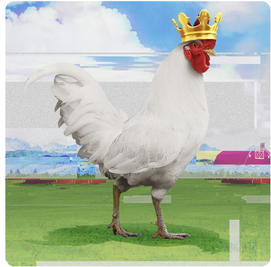 Happy with my new Roostr <a href="/chikn_nft/">Chikn 🔺</a>