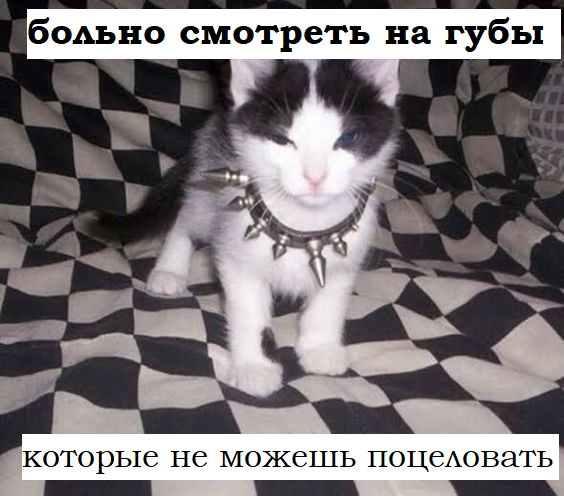 toohorny606's tweet photo. о как могу. и маффины испечь, и отсосать!)))))

#eldrive #eldlive #madigan #エルドライブ #эльдрайв #мадиган #マディガン https://t.co/P2uSonSKxx