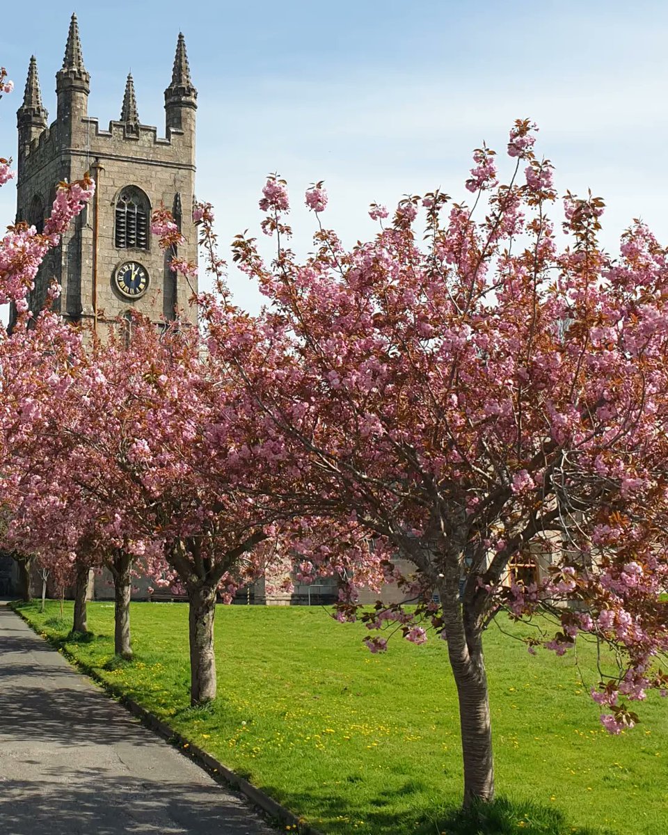 #BlossomWatch @nationaltrust 
#blossomtrees #NaturePhotography @VisitDevonUK #stmaryschurchplympton