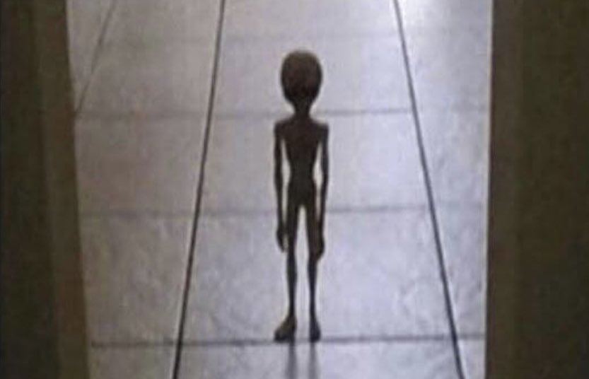 me standing outside of sebastian’s bedroom door in stardew valley waiting for him to love me