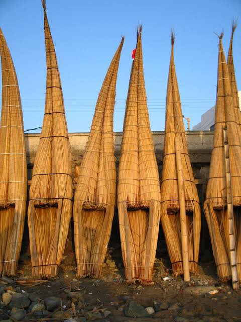 SabrinaenPeru's tweet photo. Los caballitos de Totora son considerados Patrimonio Cultural de la Nación. Son embarcaciones hechas por los locales con tallos de totora, se siguen utilizando para la pesca tal y como lo hacían los incas, soportan hasta 200 kg.
#DescubreElMundoconAVGE https://t.co/29yzVZFoSI