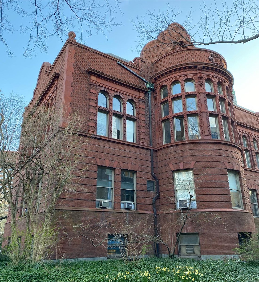 chris_larson99's tweet photo. I’m extremely blessed to announce that I’ll be continuing my education at @Penn in the Earth and Environmental Science PhD program, where I’ll research climate science with the incredible Dr. Michael Mann! Dr. Larson, coming soon! https://t.co/VMBrJTNlff