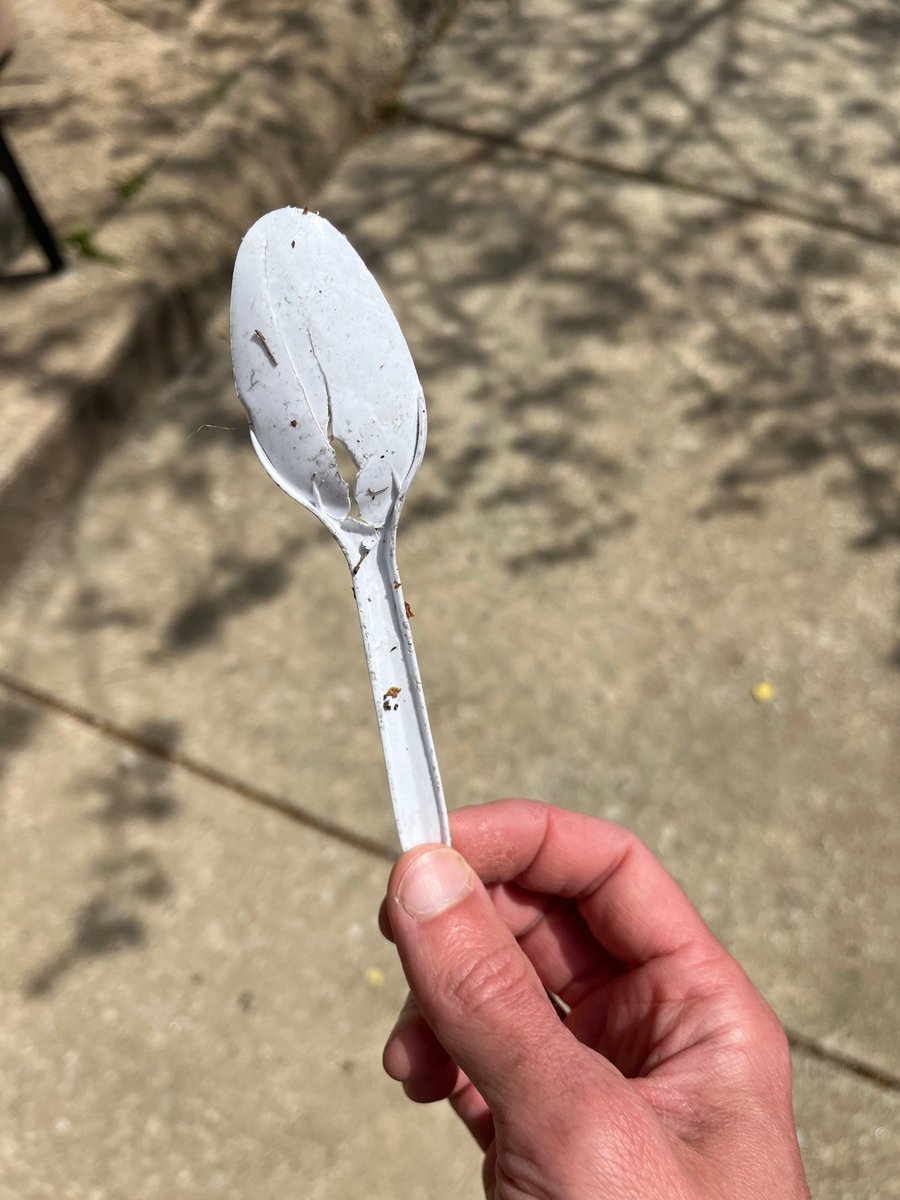 elipousson's tweet photo. Day 15 and 16 of #30daysofpickinguplitter

I’m still not picking up big bags this year but it is good to get back into the daily habit. Switching from walking the kids to school to biking has made it harder to do *every* day. Actions make habits and all that. https://t.co/mv5Dziyxq0