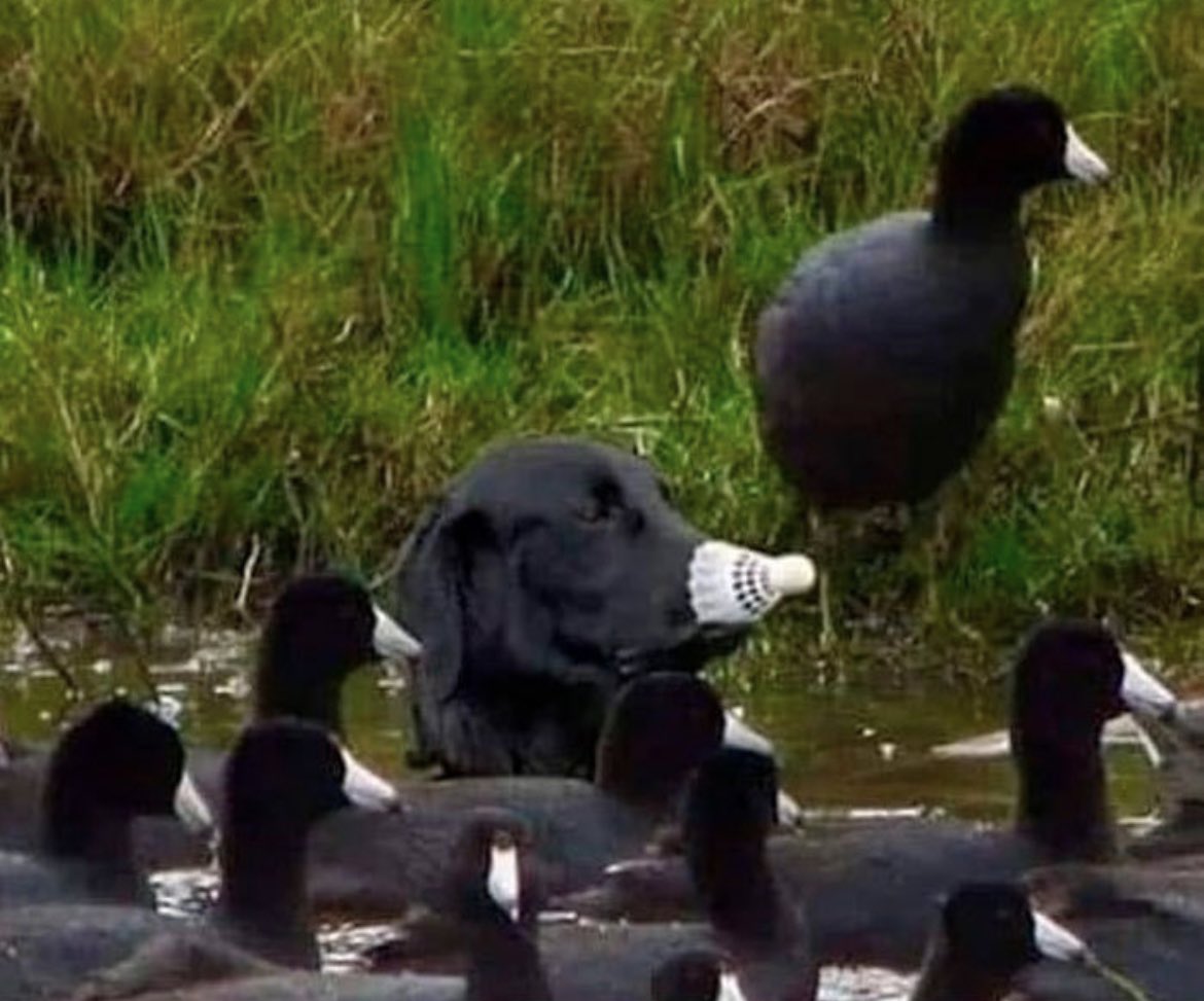 Day 16, no one suspects a thing…