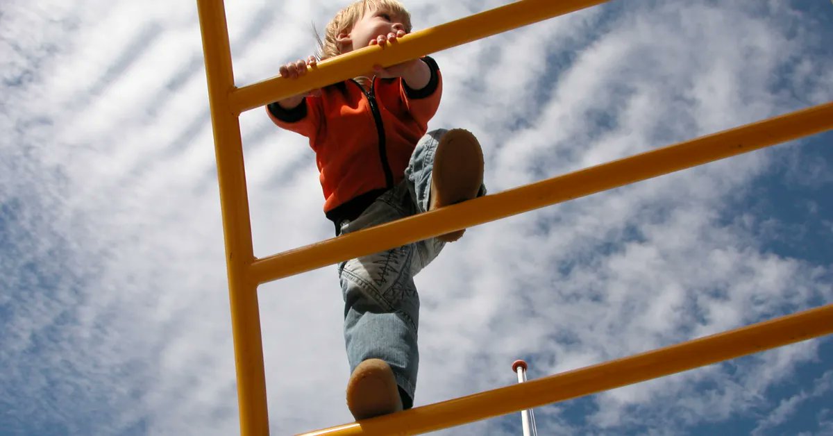 PitterPatterBF's tweet photo. Do you have a little climber on your hands?  Keep them entertained for hours with these indoor and outdoor climbing toys from Amazon!
https://t.co/kJHbgG3OM1 https://t.co/2rRsUNNeCz