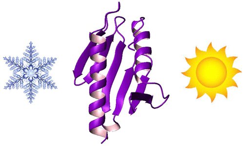isciverse's tweet photo. Online NOW | @J_A_C_S
Recipes for Inducing Cold #Denaturation in an Otherwise Stable #Protein.
@isciverse #Chemistry #ChemTwitter #scicomm #news #Technology #Tech #NewsBreak #Trending #research #AcademicTwitter #science
https://t.co/EyBSFwtr1h https://t.co/CFSAql2Mhw