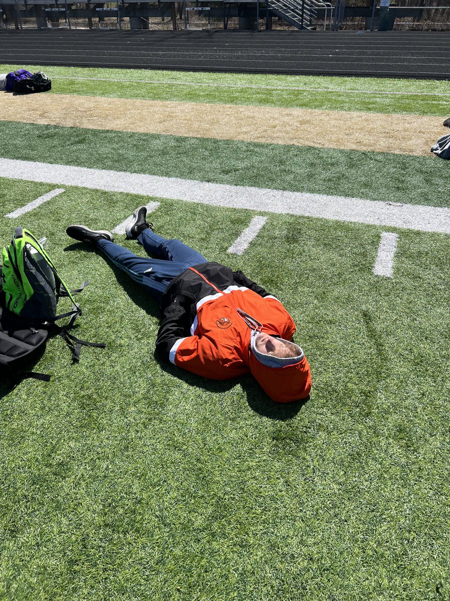 It’s chilly. Stay low, find sun, chill. River keeping warm on the turf. #festival #livlikeriv