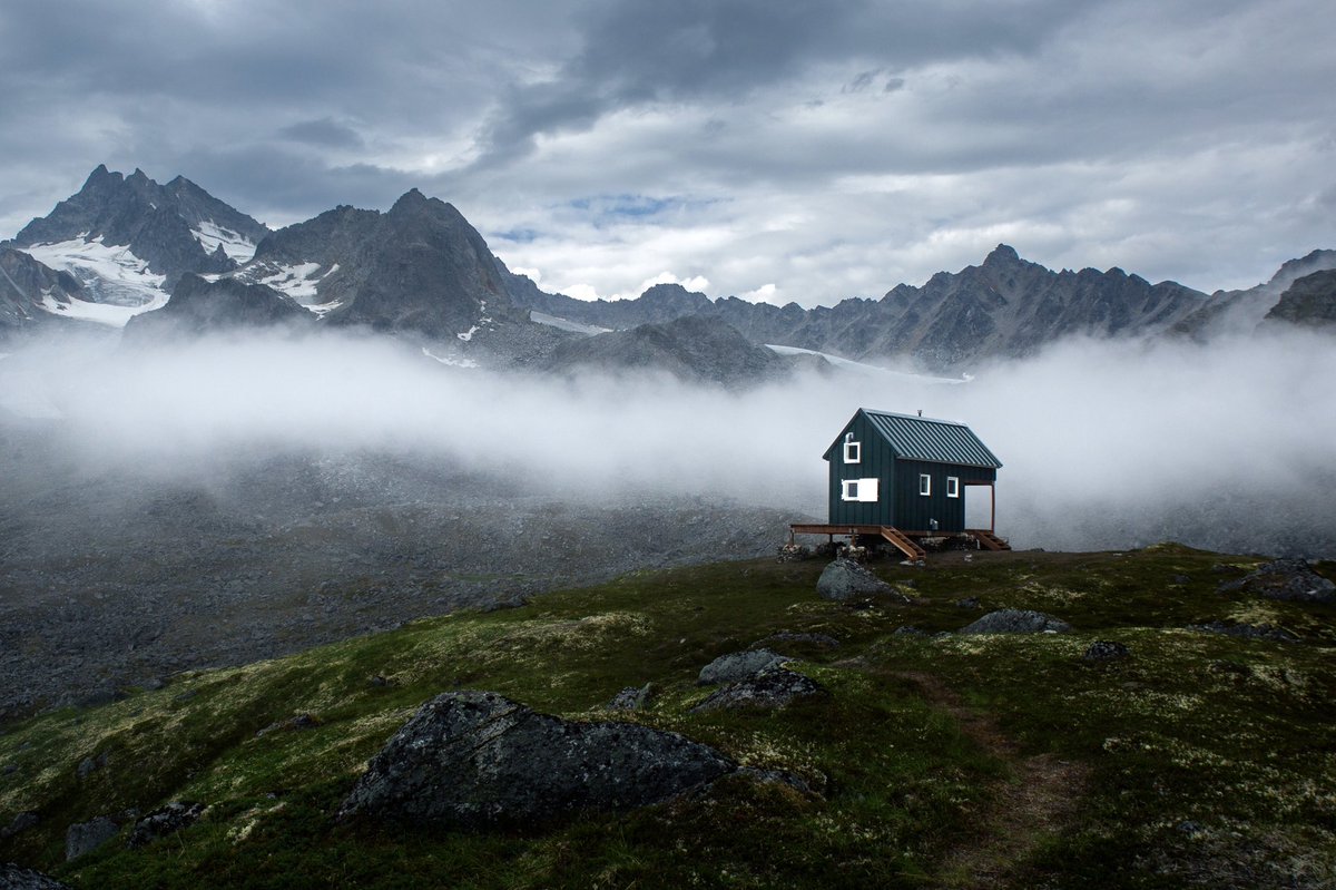 Elliot Hawkey tweet media