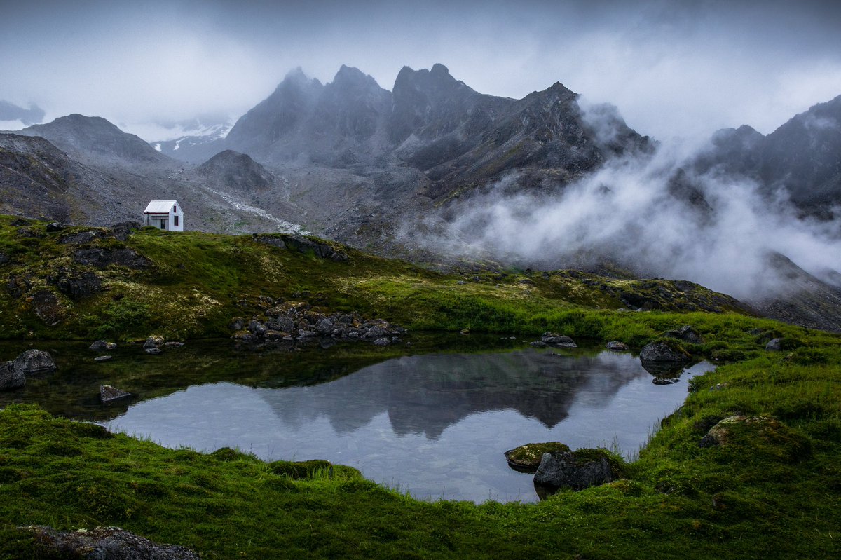 Elliot Hawkey tweet media