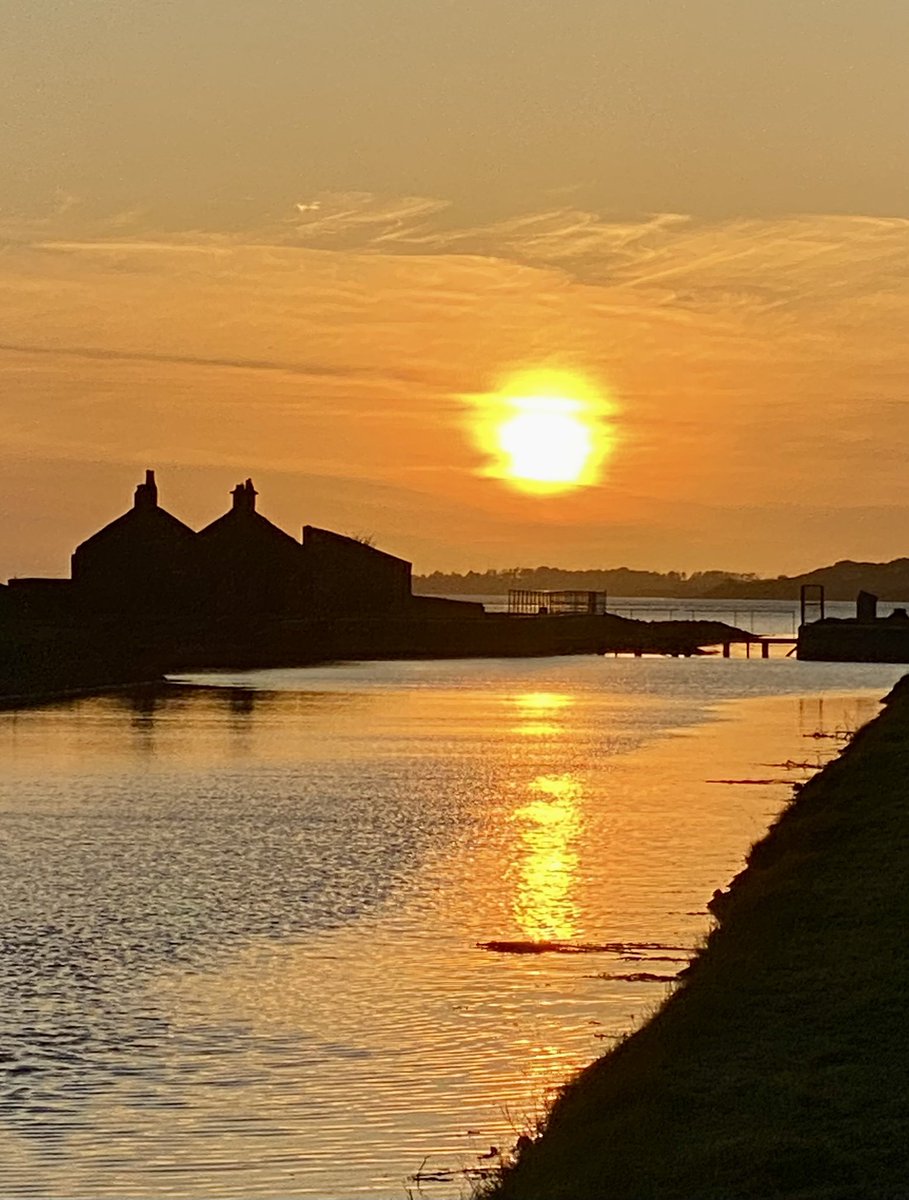 Cat_1964's tweet photo. One of my favourite addictions, walking #TraleeCanal at #sunset, depending on sunshade, looks #exotic, best thing, on door step of home (other side of town!) 1st time #Kody seeing an #otter, went bananas wanting to follow into water #Tralee #LoveTralee #palmtrees #wildatlanticway https://t.co/FSOmrxnSTX
