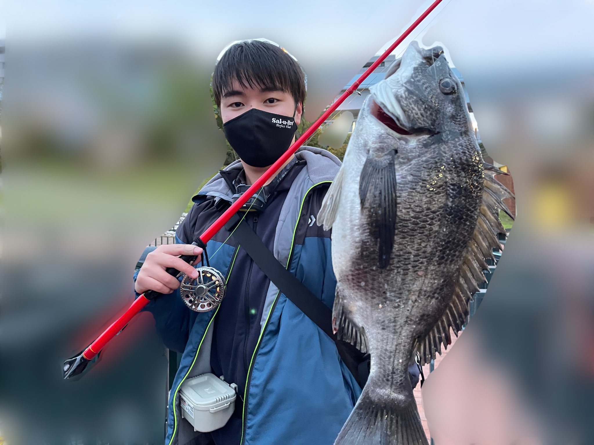 ヘチ釣りと餌 魚魚魚 Hechiesauo3 Twitter