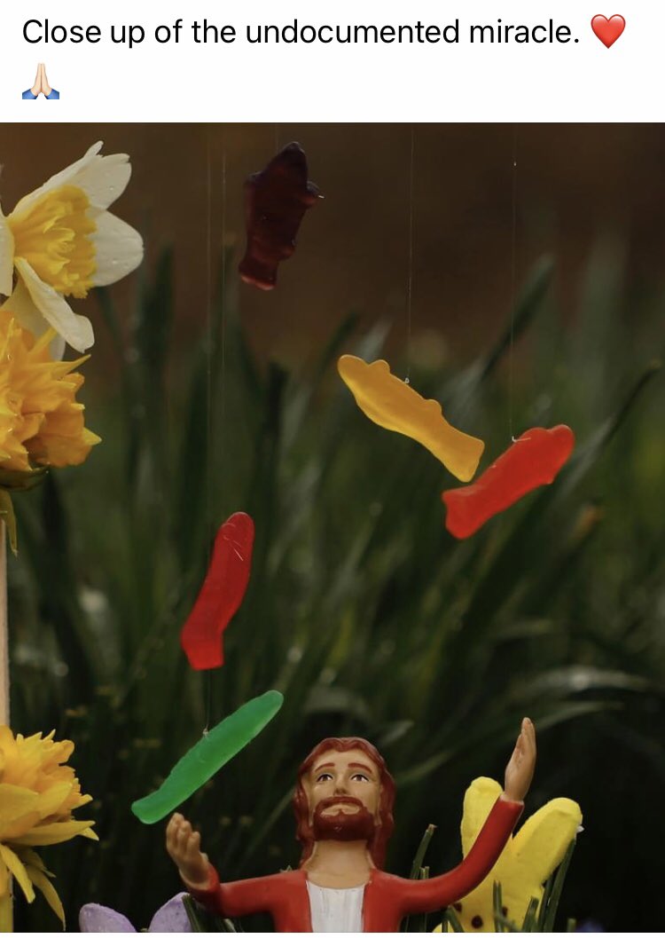 mtlunasea's tweet image. #almostEaster 🐣🐇🐥🐰