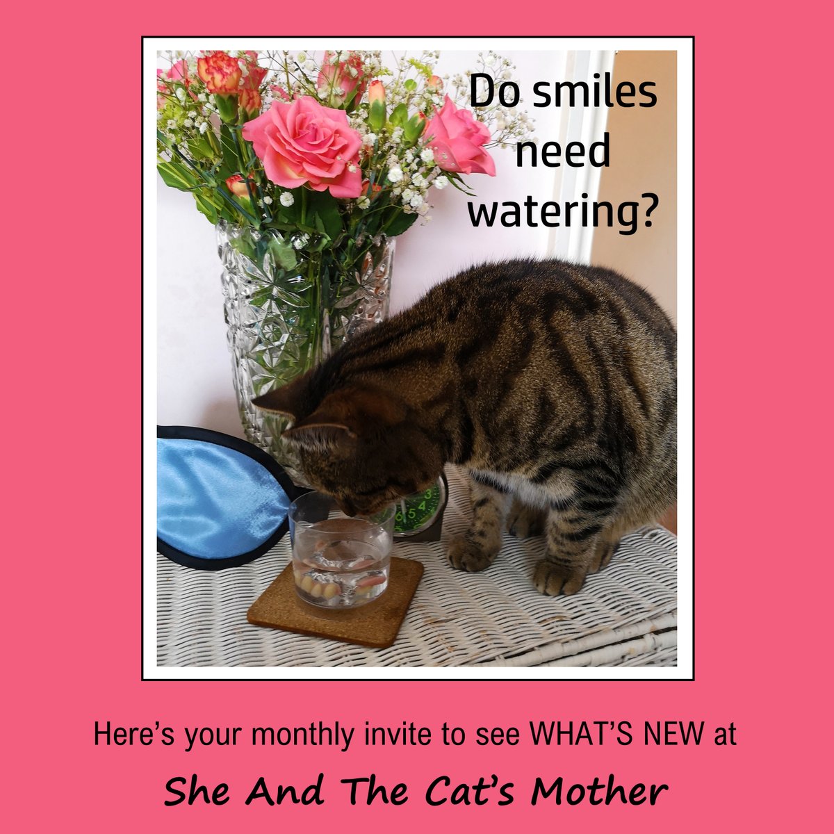 GwenHullah's tweet photo. Here's your monthly INVITE to see WHAT'S NEW at She And The Cat's Mother @SheAndTheCatsMo // All the best, Gwen https://t.co/0YrScCrRO4