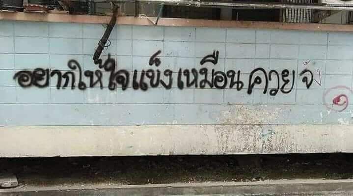 505 tweet media