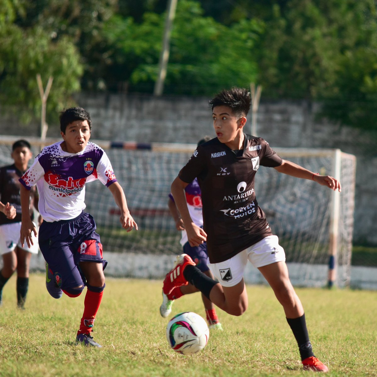 aprocen's tweet photo. #Inferiores ⚽ | 7° División 
⏰ Final del partido.
⚽️ #Pellegrini 2- #CentralNorte 2
☑️  Goles: Thiago Yufra y Thiago Vargas

#VamosLosPibes ⚫️⚪️ https://t.co/2GaVeTLGsx