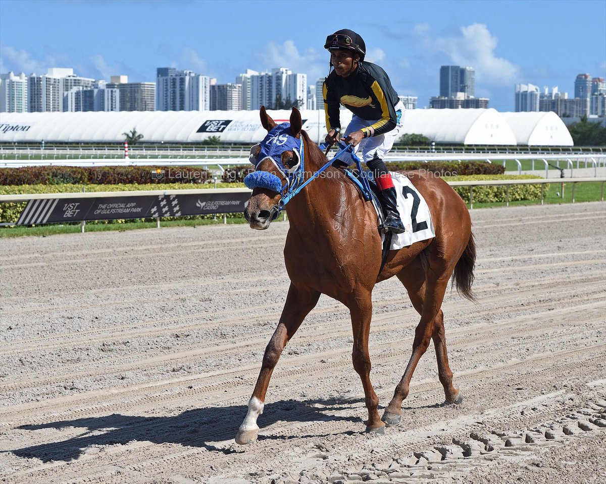 #16Abr Birdman Richie conducido por Romero Ramsay Maragh <a href="/romeronlsa/">Romero Maragh</a> ganó la sexta carrera del sábado en #GulfstreamPark entrenado por <a href="/sanoracing/">Antonio Sano</a> 

Felicidades a su propietario <a href="/OmakaseRacing/">OMAKASE RACING STABLES</a> 

1️⃣ primera victoria de Antonio Sano #RoyalPalmMeet 2022 

📸 <a href="/coglianesephoto/">Coglianese Photos</a>