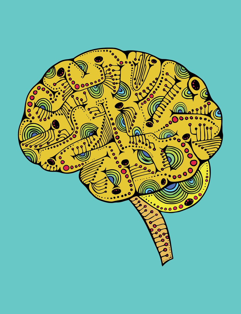 anatomicalsales's tweet photo. 💓 
 
Brain #10 just sold for 0.05 ETH ($152.50)
-The Anatomical Project 
https://t.co/UaUrjMZudy https://t.co/0OO1RZYT3Z
