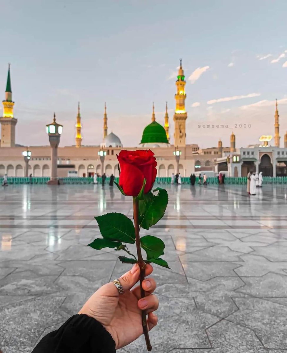 MRQadri313's tweet photo. اذن طیبہ مجھے سرکارﷺ مدینہ دے دو 
لے چلے مجھ کو جو طیبہ وہ سفینہ دے دو!
❤صلّی اللّٰه علیہ وآلہ وسلم❤ https://t.co/e1mSfSNgEm