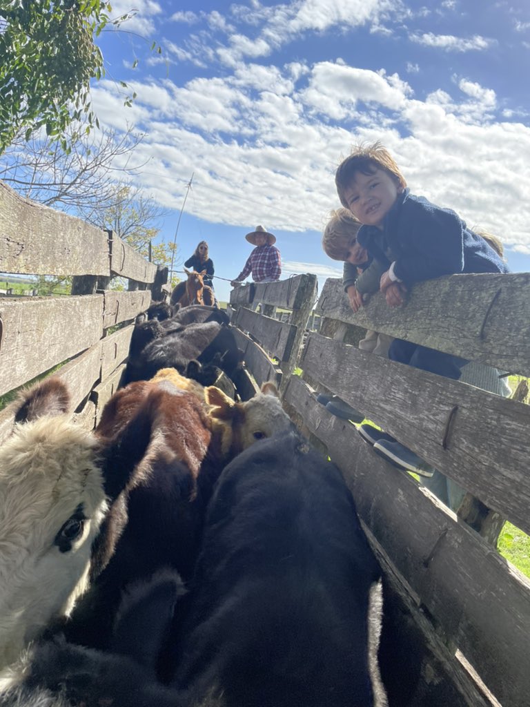 mirubi2's tweet photo. Semana Santa en Flia. Inculcando Trabajo y Campo. https://t.co/wyufH2Cq98