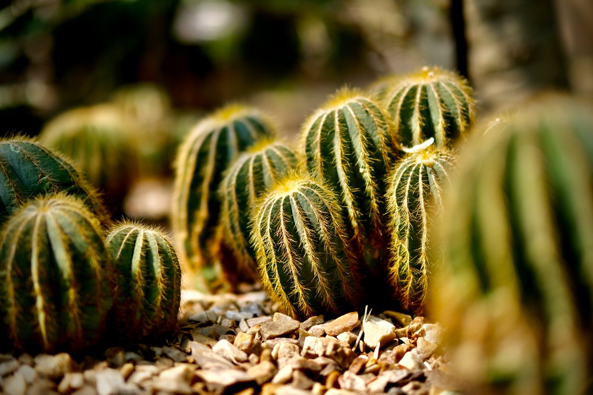 Katie Long tweet media