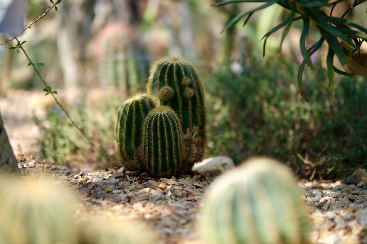 Katie Long tweet media