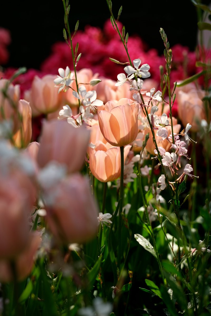 Katie Long tweet media