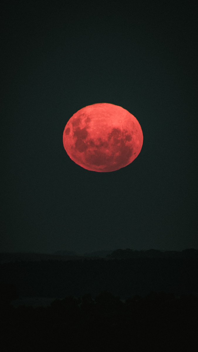 juangallegooo's tweet photo. Luna rosa desde las sierras :)
-18:38 https://t.co/Qh2VoPrdnq