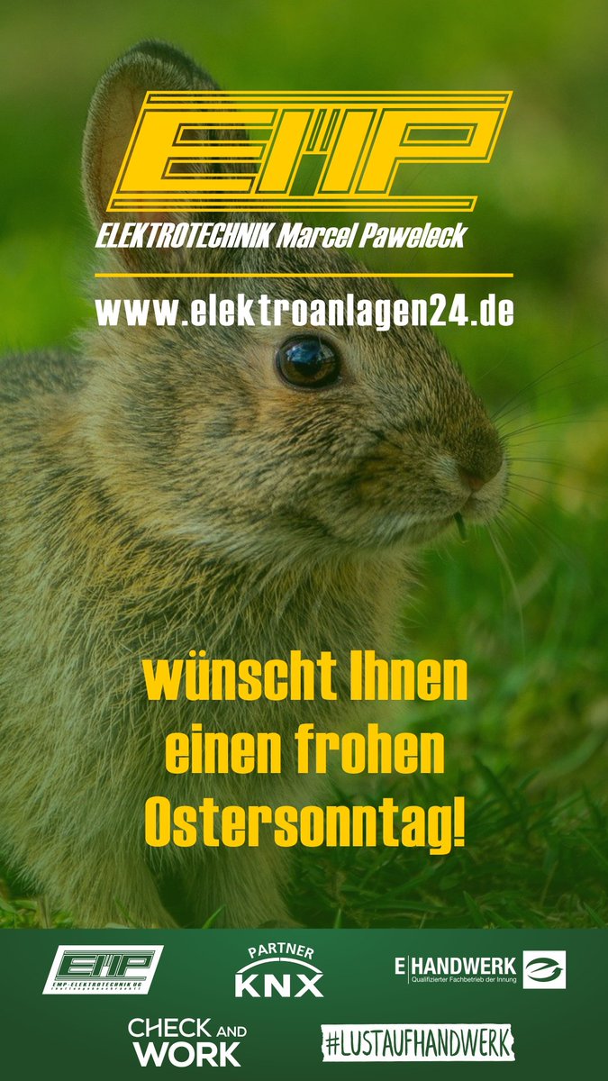 elektroanlagen24.de