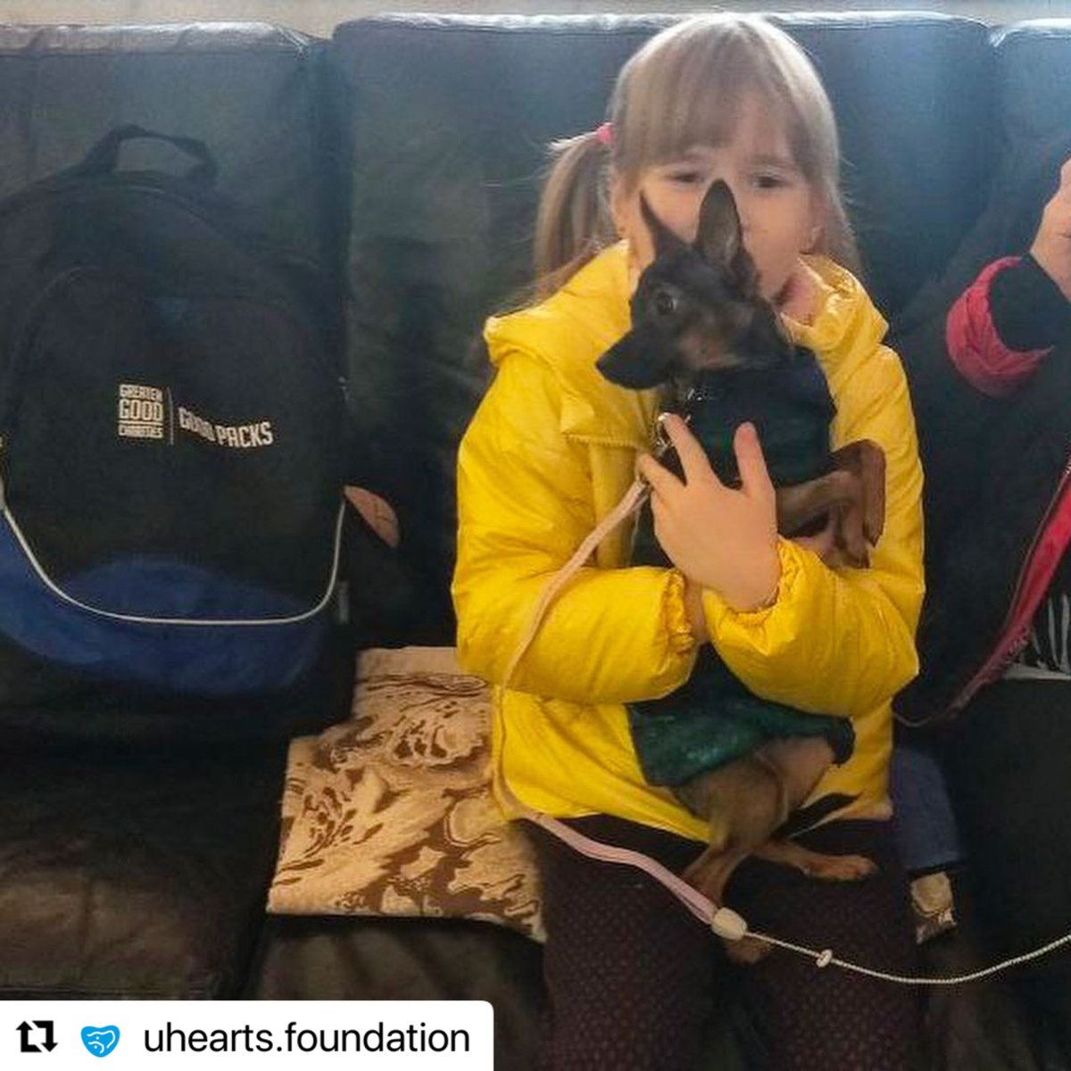 GreaterGoodorg's tweet photo. Volunteers from U-Hearts and Save Pets of Ukraine continue to distribute our #GoodPacks among displaced Ukrainians and their pets. 🐾 https://t.co/lJQFePyeSd