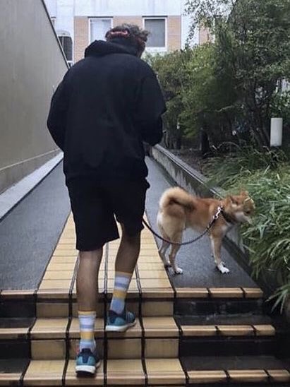 putadestyIe's tweet photo. AU

donde harry el paseador de perros de louis se enamora del ojiazul pero su padre no los deja ser felices por sus diferentes niveles sociales 

o

donde taylor una chica rubia, rica y gatuna que conoce por un acuerdo de conveniencia termina siendo el amor de su vida https://t.co/k3fZdu0AbT