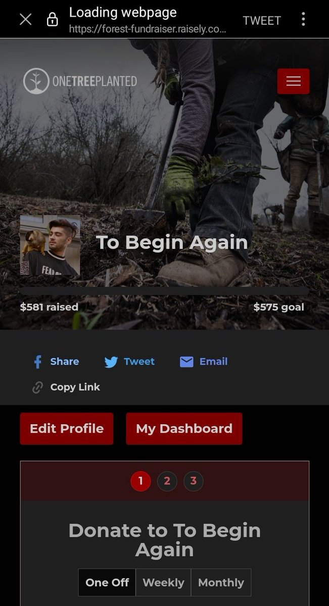 zjmsalien's tweet photo. Big thanks to everyone that's  Streamed &amp; Donated or even just Shared our project, it came to an end; but you can still contribute &amp; help our planet whenever you want. Zayn Malik must be so proud of us all &amp; so are the generations to come. The zquidies won't stop here tho 😼❤🙏 https://t.co/D8FsFdnl8M