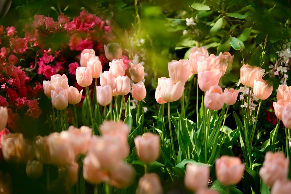 Katie Long tweet media