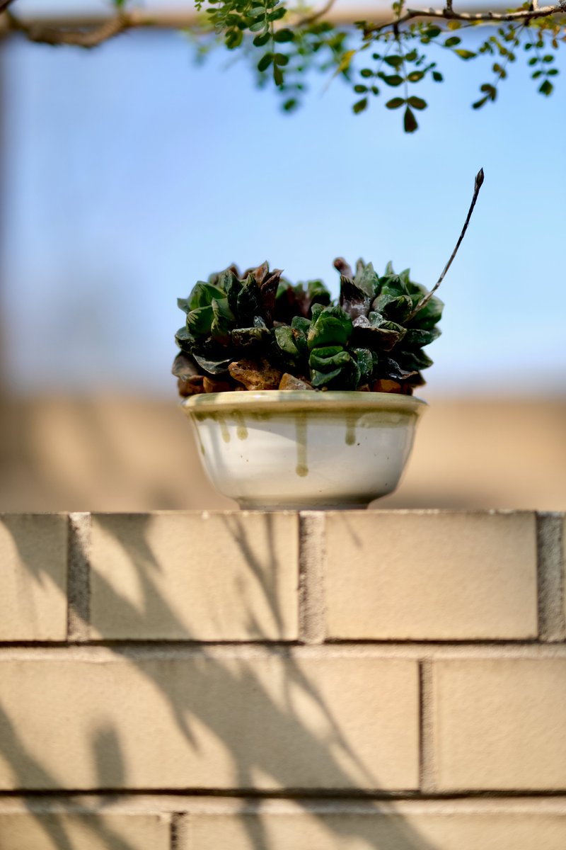 Katie Long tweet media