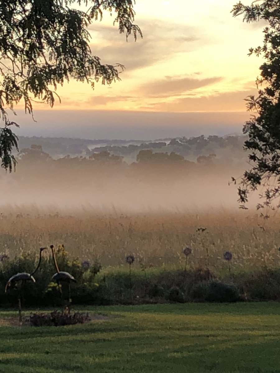 Sarah Thompson tweet media