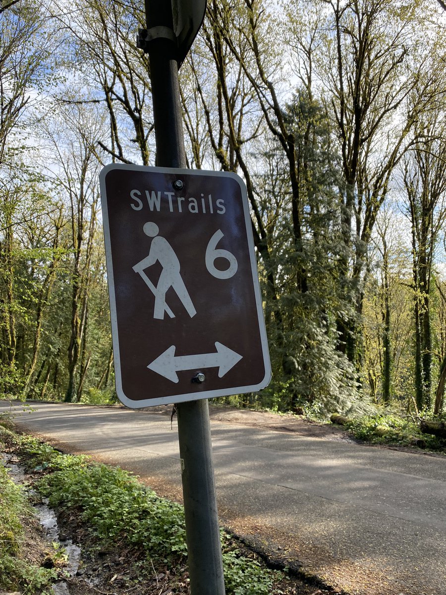 JennyWoodman's tweet photo. Morning in Marshall Park was magical, but must confess: I don’t find the trail markers very helpful. Each w/arrow pointing in different directions + 6. Every sign. 

#walkswithwinston #bleptomaniac #cityforests #urbanwildlife #tryoncreek #owlcreek https://t.co/rNxFQSF4Es